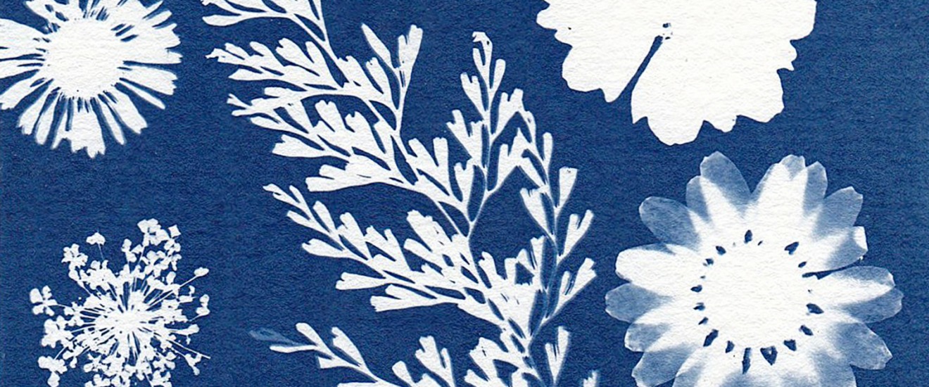 Promotional image for Botanical Sun Printing