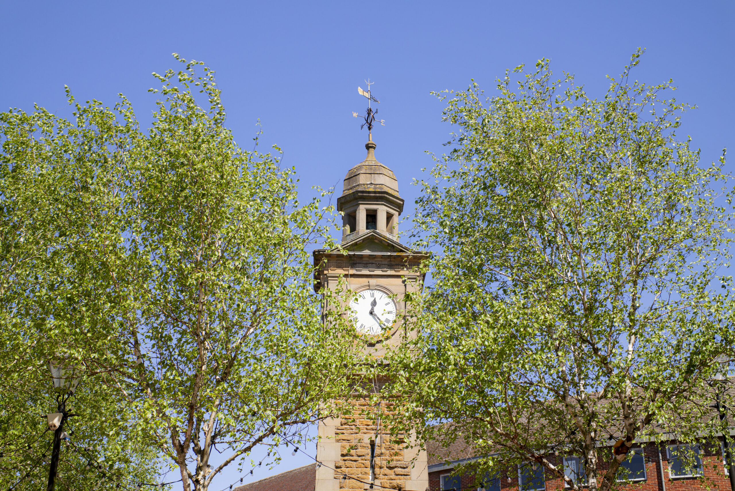 Historic clock tower in Rugby partially hidden by mature trees on a sunny day