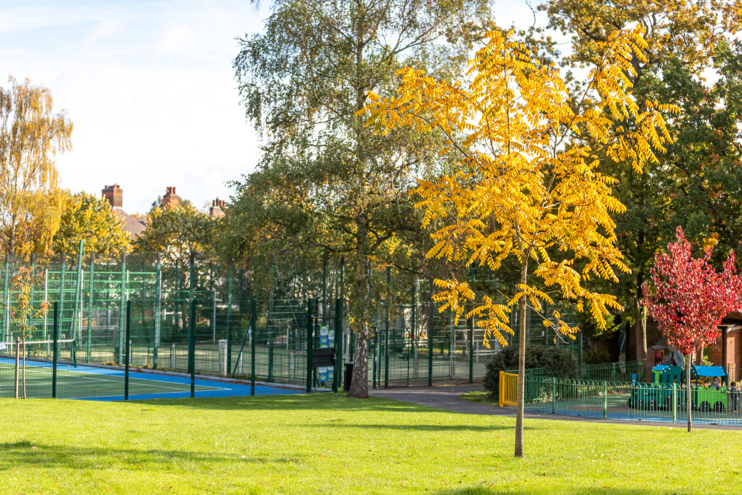 Park in autumn with golden trees and a fenced games court in the background