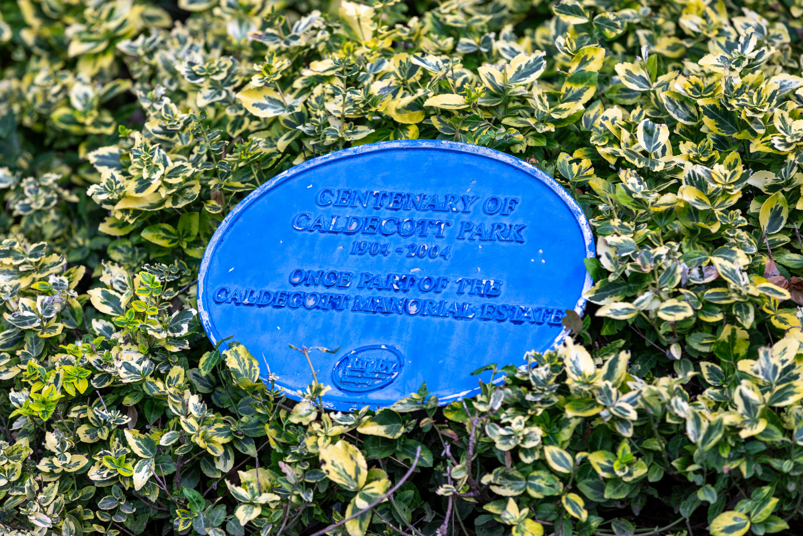 Blue commemorative plaque marking the centenary of Caldecott Park, 1904 to 2004, set in a green hedge
