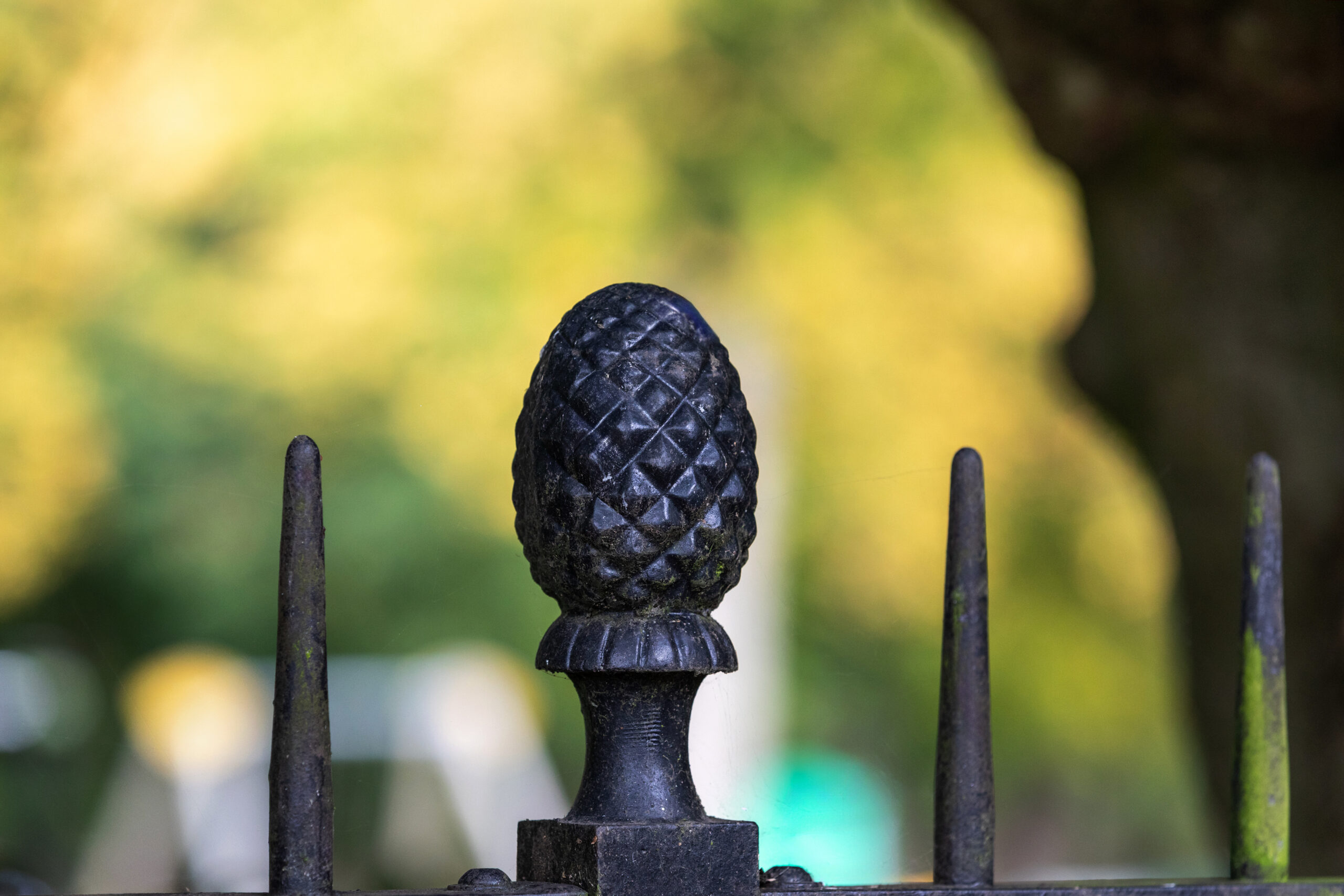 Ornate cast-iron acorn finial on park railings against a blurred autumn background