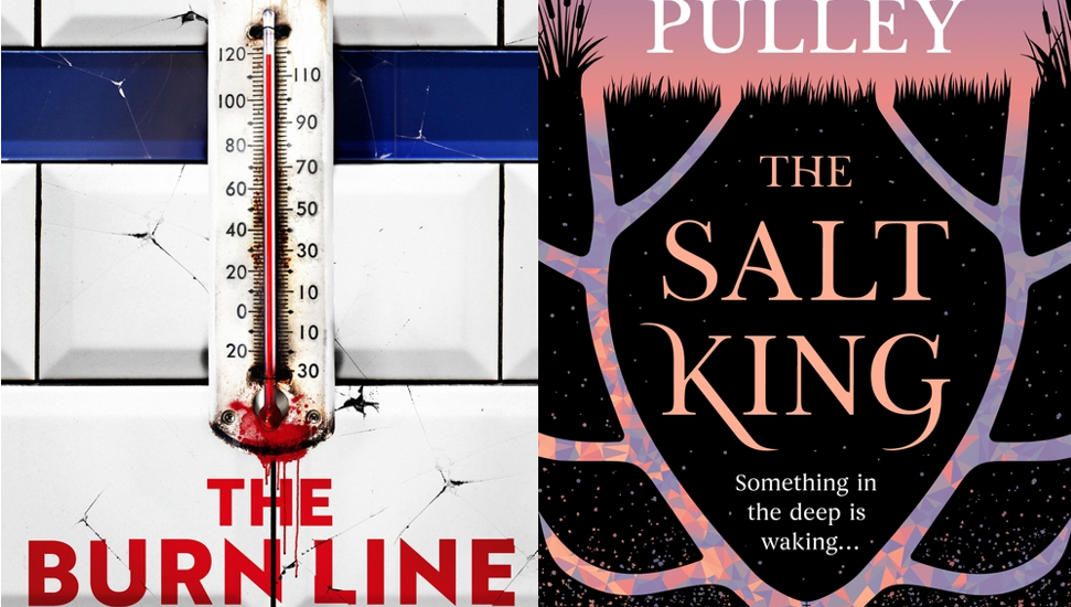 A book cover of a thermometer and a church with roots around it