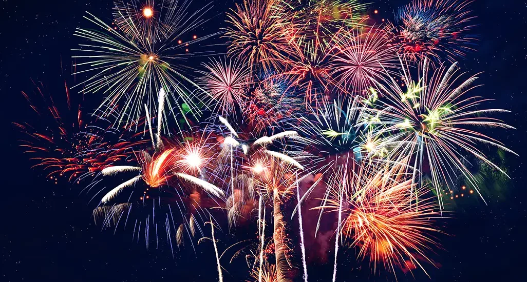 Fireworks in the sky